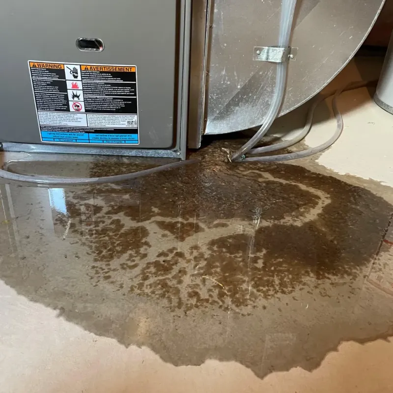 Appliance Leak Cleanup in Stanly County, NC